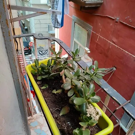 La Casa Su Spaccanapoli *