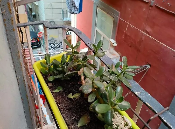 La Casa Su Spaccanapoli *